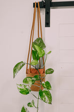 Load image into Gallery viewer, Tan Plant Macrame Hanger
