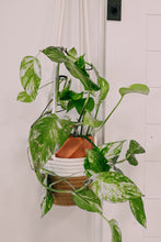 Load image into Gallery viewer, White Plant Macrame Hanger

