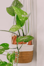 Load image into Gallery viewer, White Plant Macrame Hanger
